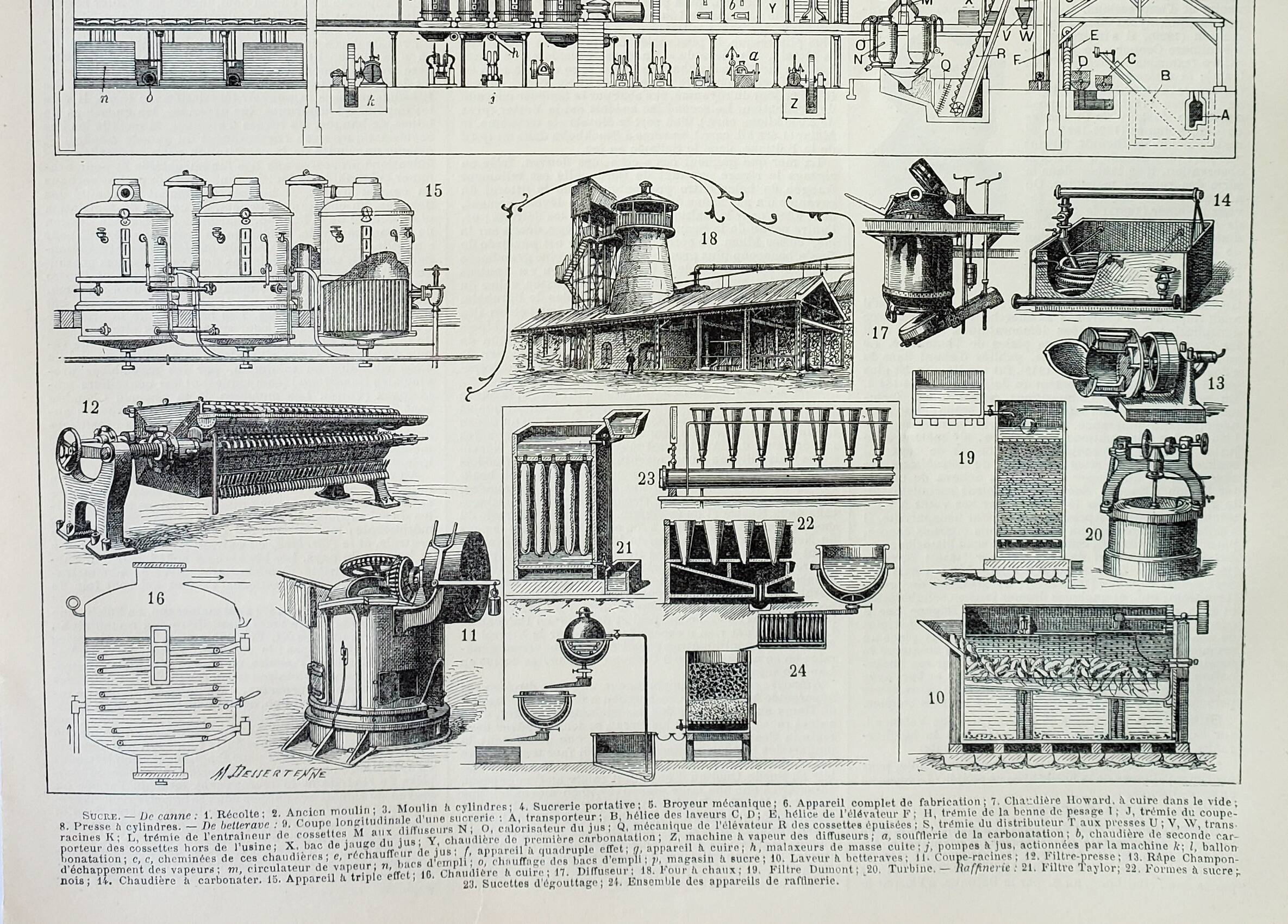 Gravure ancienne 1898, La fabrication du sucre, canne • Lithographie, Planche originale