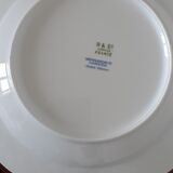 plates Bernardaud Limoges saint saens B & C blue vines