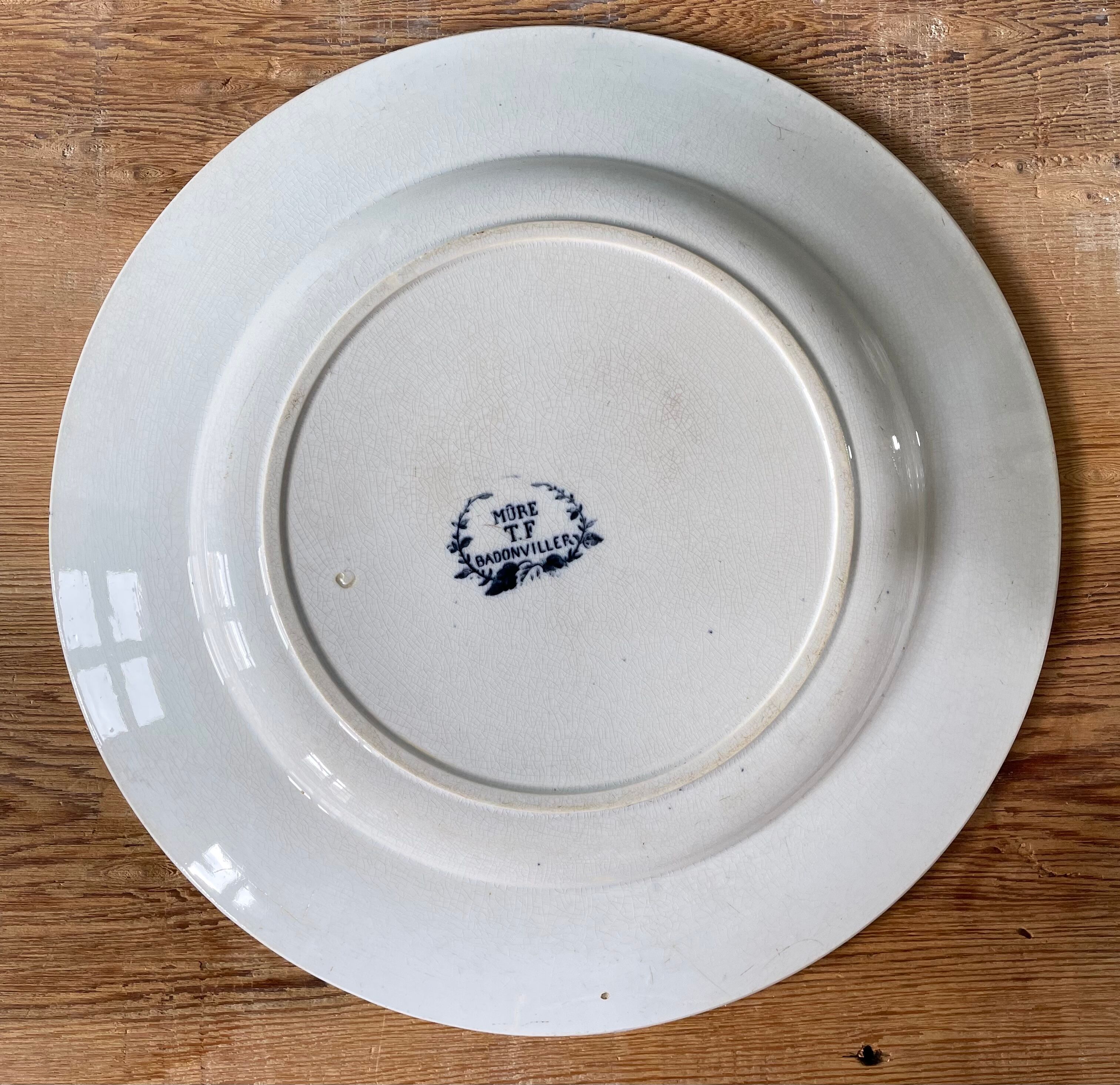 Set of two dishes "Blackberry" T.F Badonviller