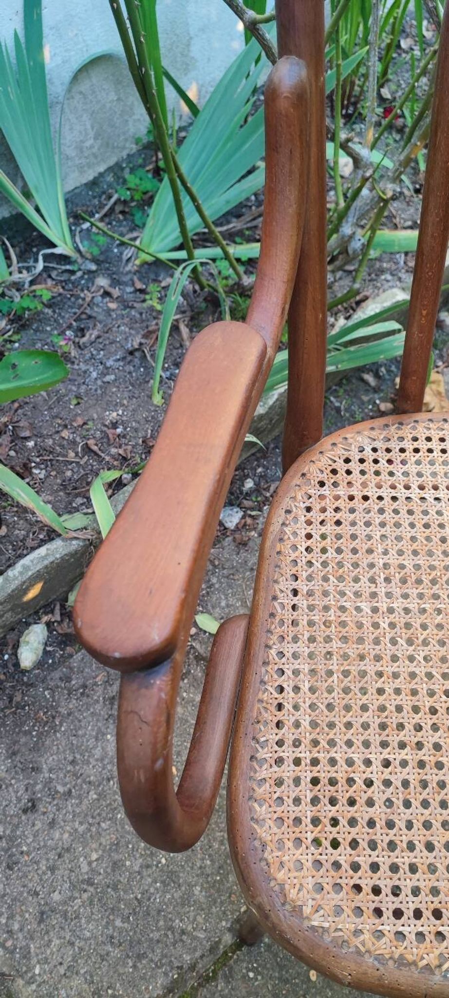 Thonet armchair no. 56