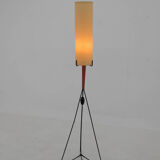 Mid-Century Floor Lamp, Europe, 1960s, Restored