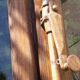 Lot of 4 oak windows H141xL112/117cm old small panes