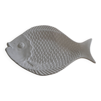 White fish dish