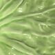 6 slush dessert plates with green leaves