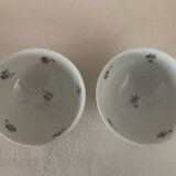 2 Antique Faceted Bowls with Small Flower Pattern PL France