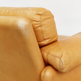 Couple Coronado Lounge Chair by Tobia & Afra Scarpa for B & B Italy