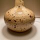 Lampe champêtre en grès pyrité et fleurs séchées années 70