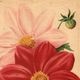 Botanical Engraving 1911 - Dahlias by J. Guillot - Flower, floral lithograph plate