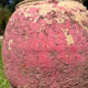 Ancient terracotta pottery jar from the 19th century.
