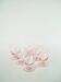 Set of 6 small wine glasses, Pink, Art Deco, 1930