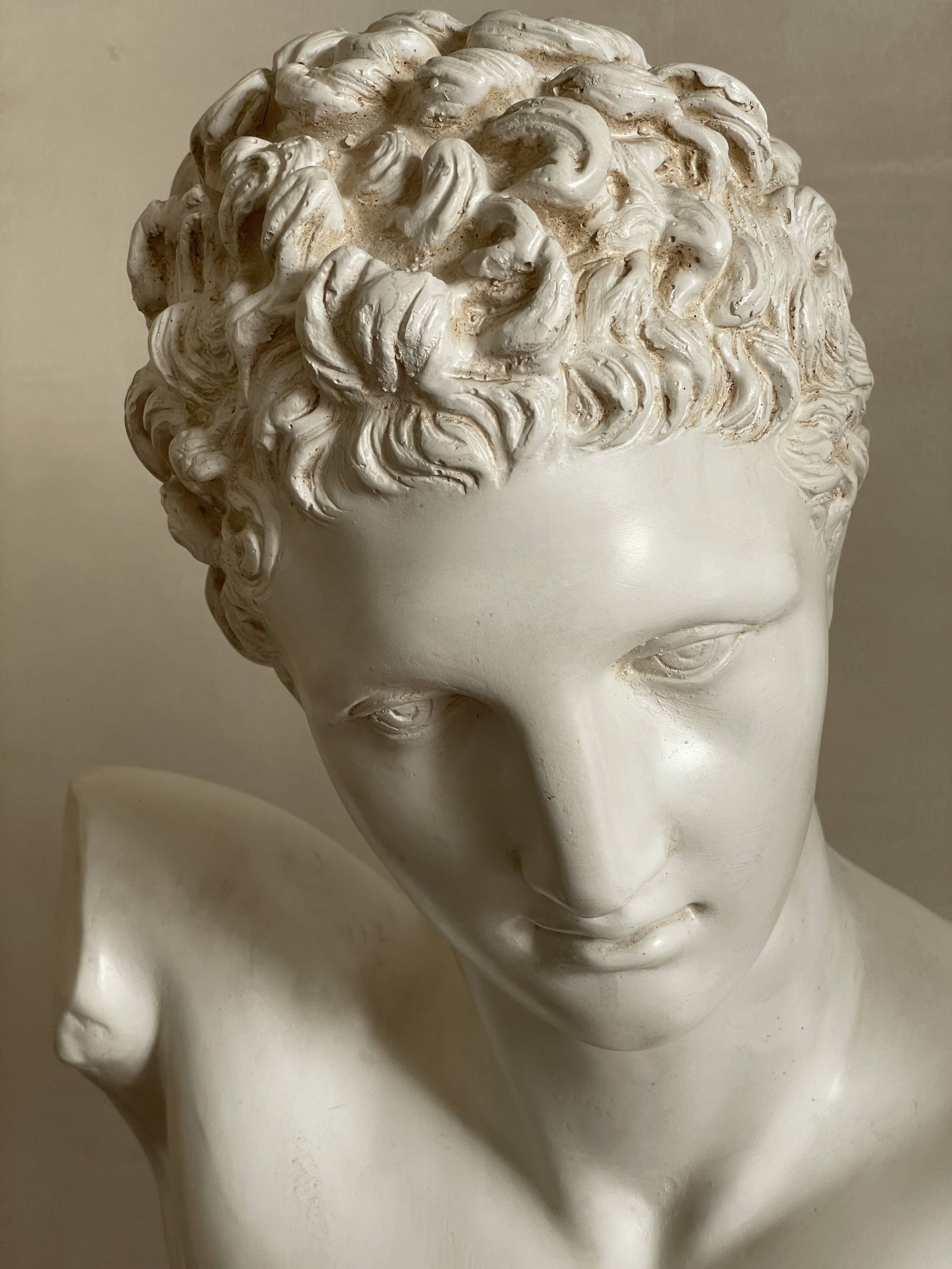 Large Hermes plaster bust