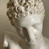 Large Hermes plaster bust
