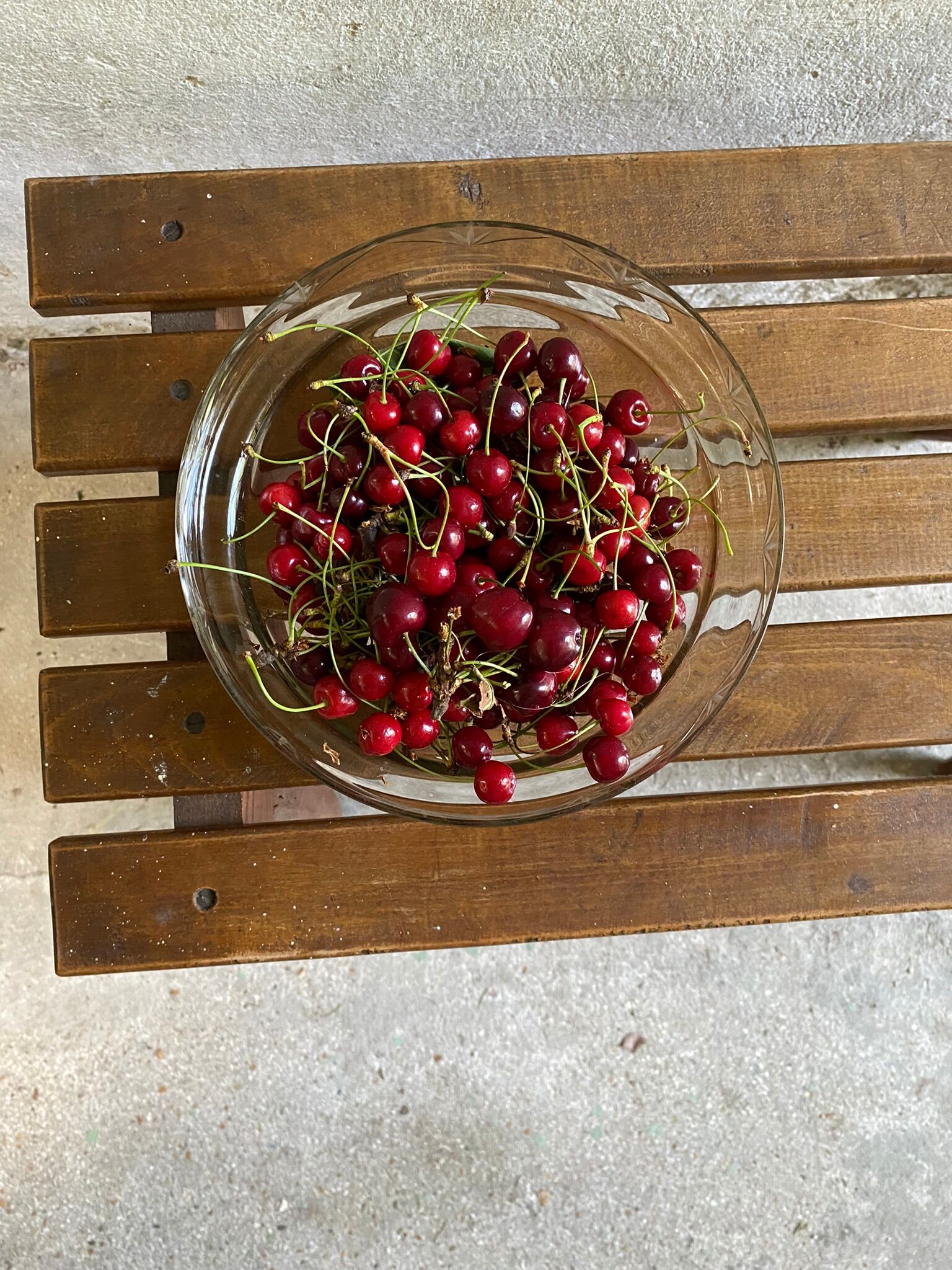 Scandinavian style plant holder with compass base
