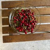 Scandinavian style plant holder with compass base