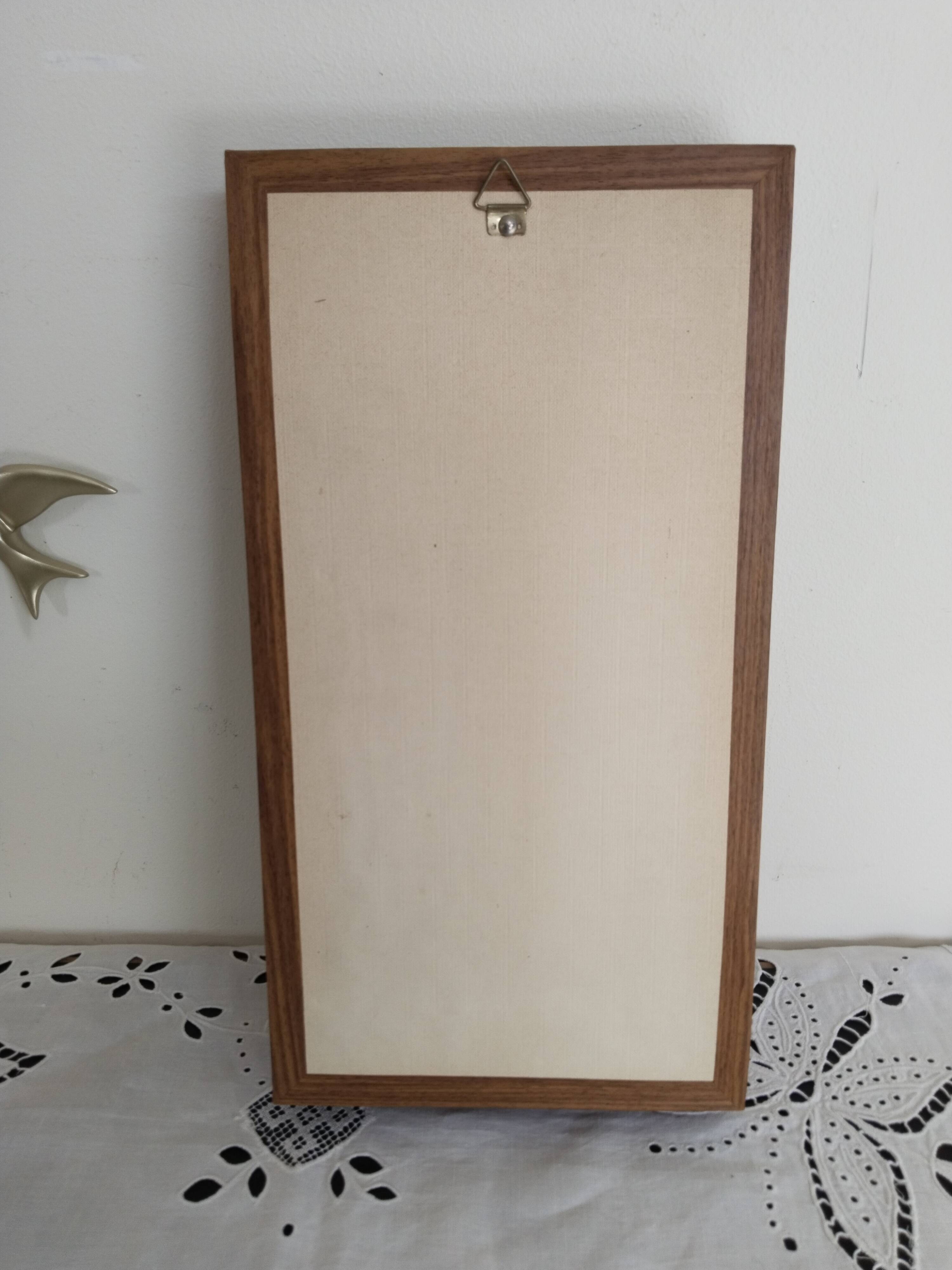 Butterflies stuffed under glass