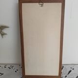 Butterflies stuffed under glass