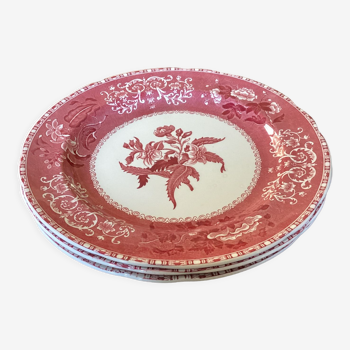 Set of Three ceramic plates Spode England dimension: height -2.5 cm- diameter -26 cm-