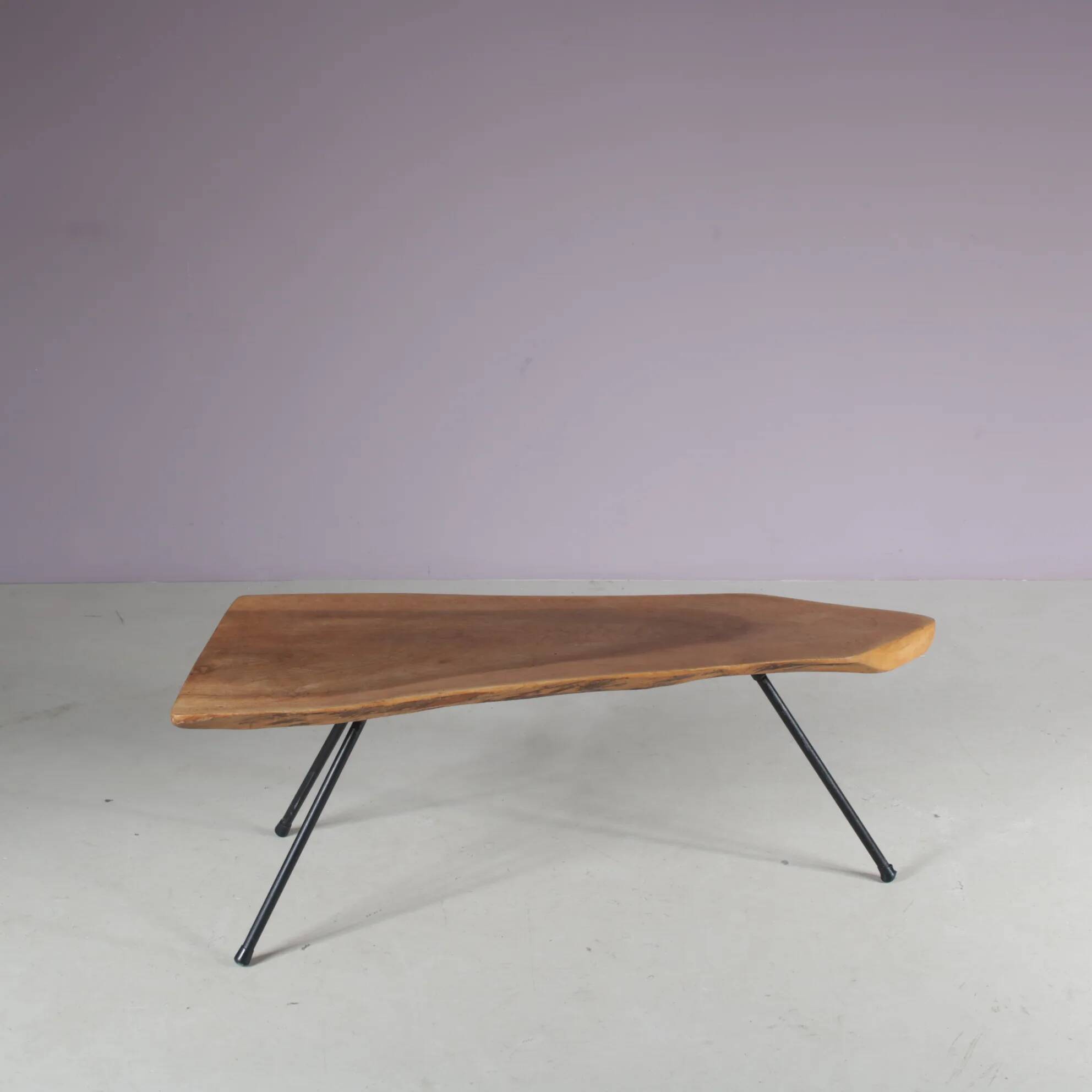 1950s Tree trunk coffee table in Aubock style from Austria