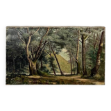 Painting "Undergrowth", Oil on canvas