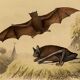 Ornithological board "Mouse" Buffon 1840