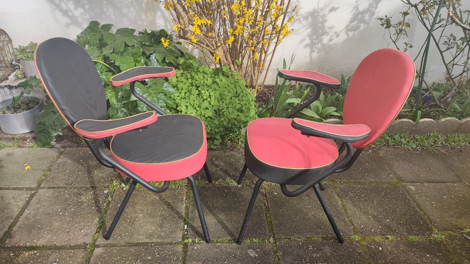 Pair of armchairs 1950