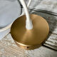 Flat opaline suspension