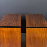 Set of 2 Identical Biedermeier Chests of Drawers, Germany, 19th Century, Wa