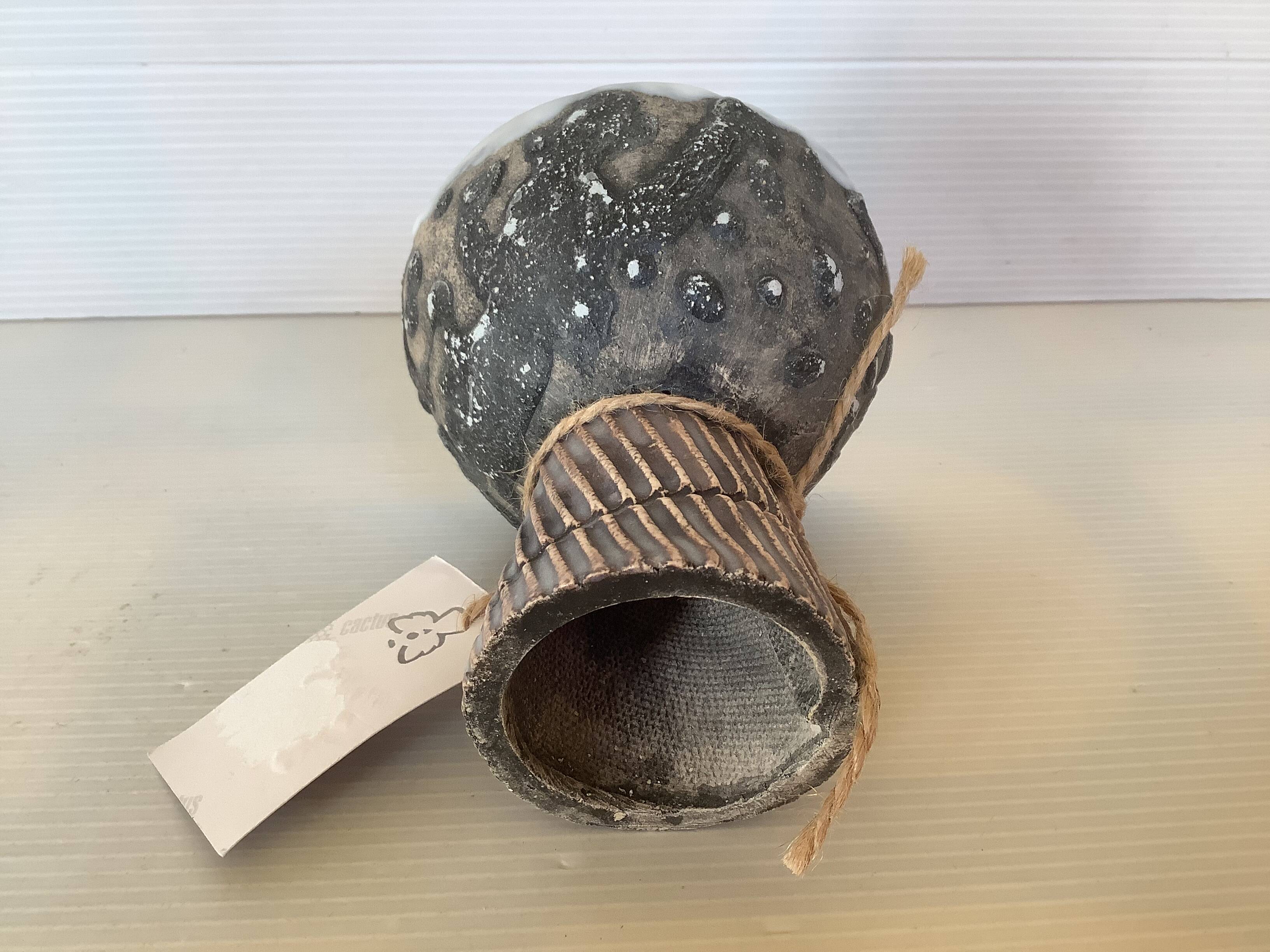 Cactus pot Elena Loginova Russia