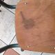 Suite of four school chairs 50/60 years