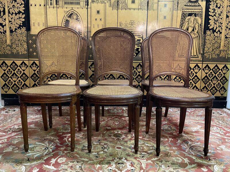 Set of 6 Louis XVI style chairs in cane - Caned