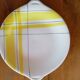 Salins cake dish