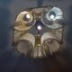 Art Nouveau Guimard style chandelier in nickel-plated bronze