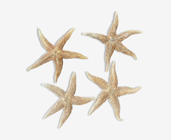 Starfish