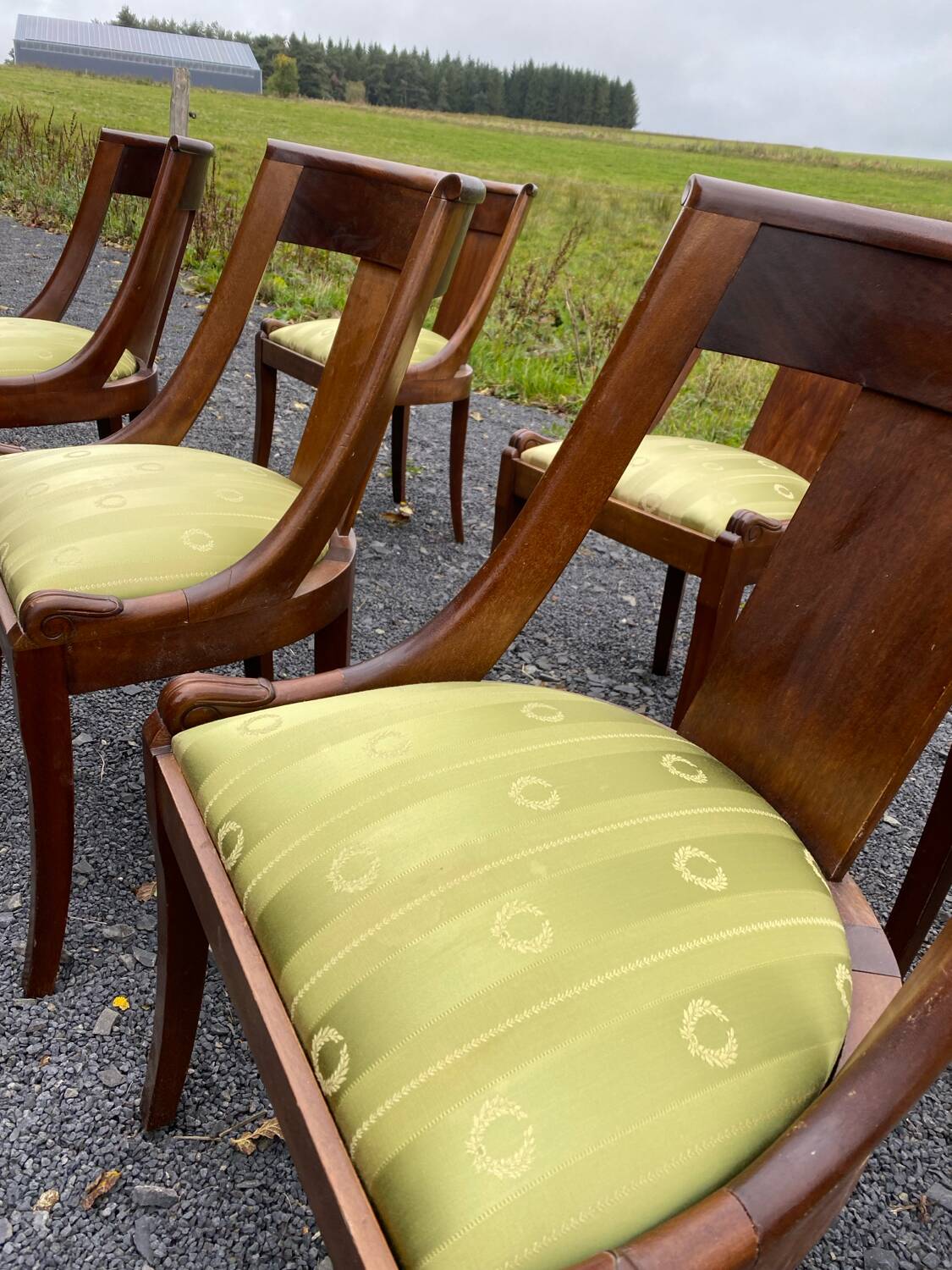 6 chaises gondole en acajou