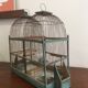 Double bird cage