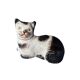Statuette de chat Staffordshire, Angleterre vers 1860–1880