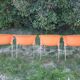 Set of 4 Blablabla Chairs by Marco Maran for Parri Italy