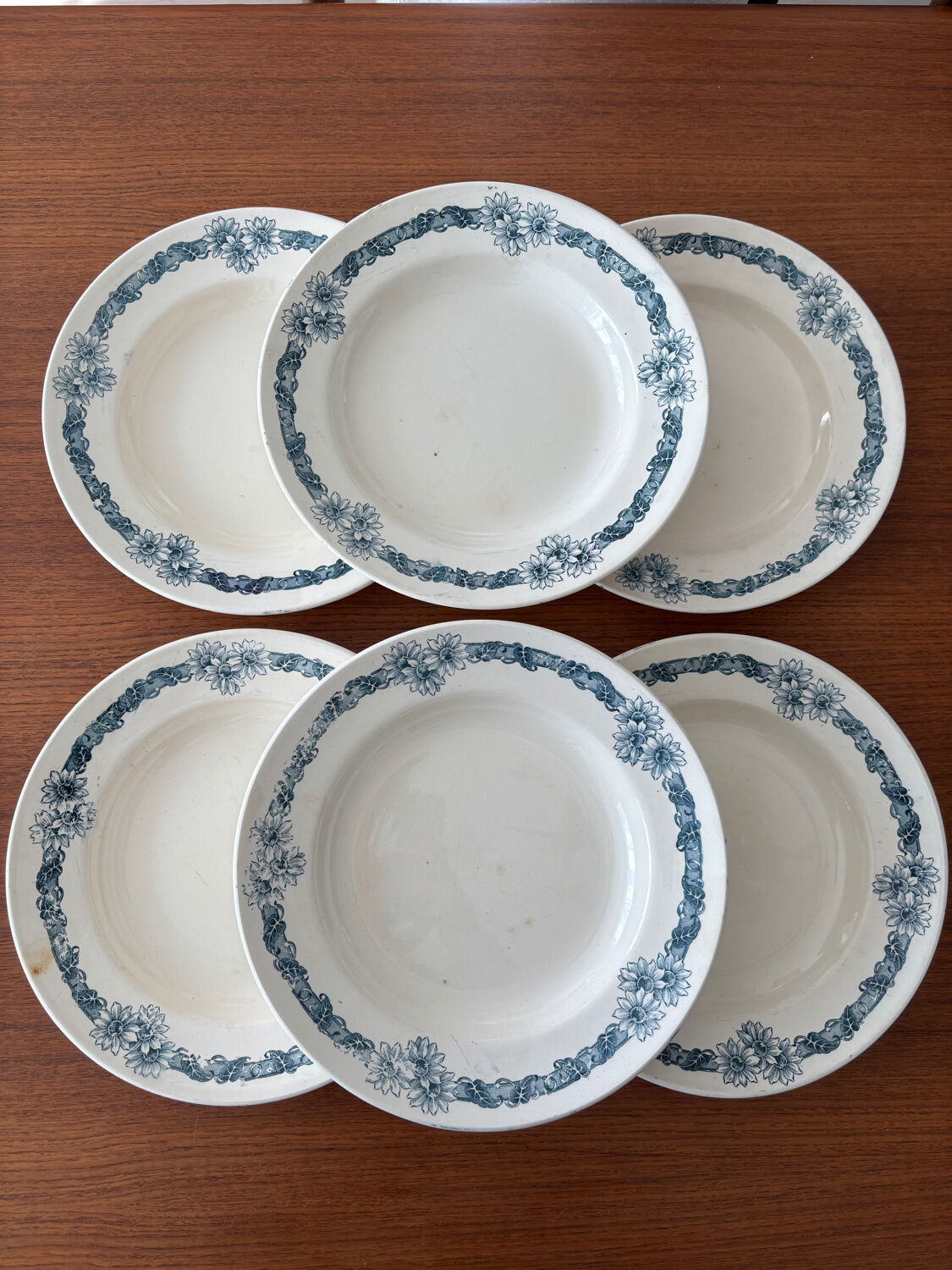 Set of 6 semi-deep plates in ironstone Longchamp model Denise.