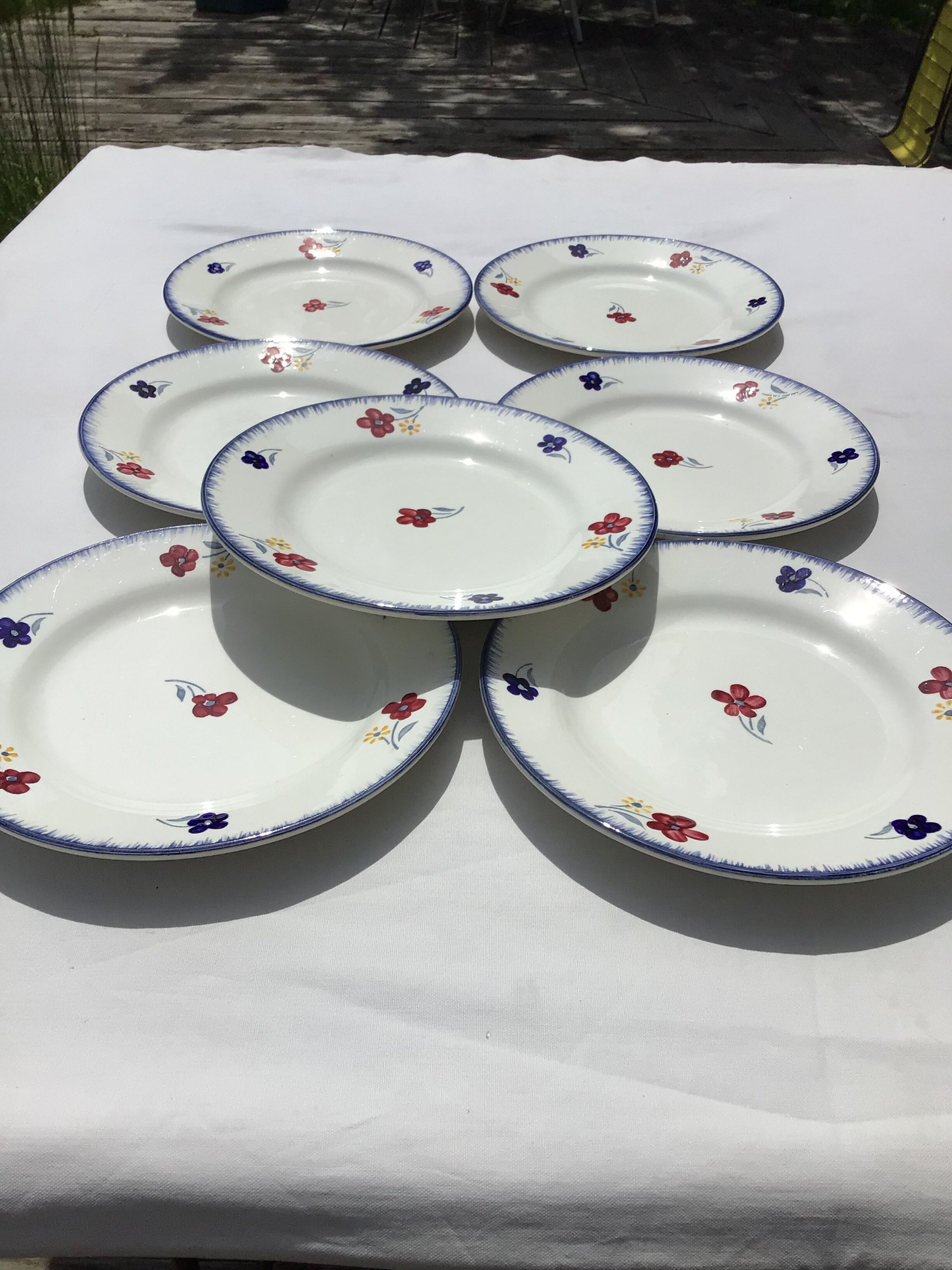 7 blue edge flat plates Mary Lou Digoin