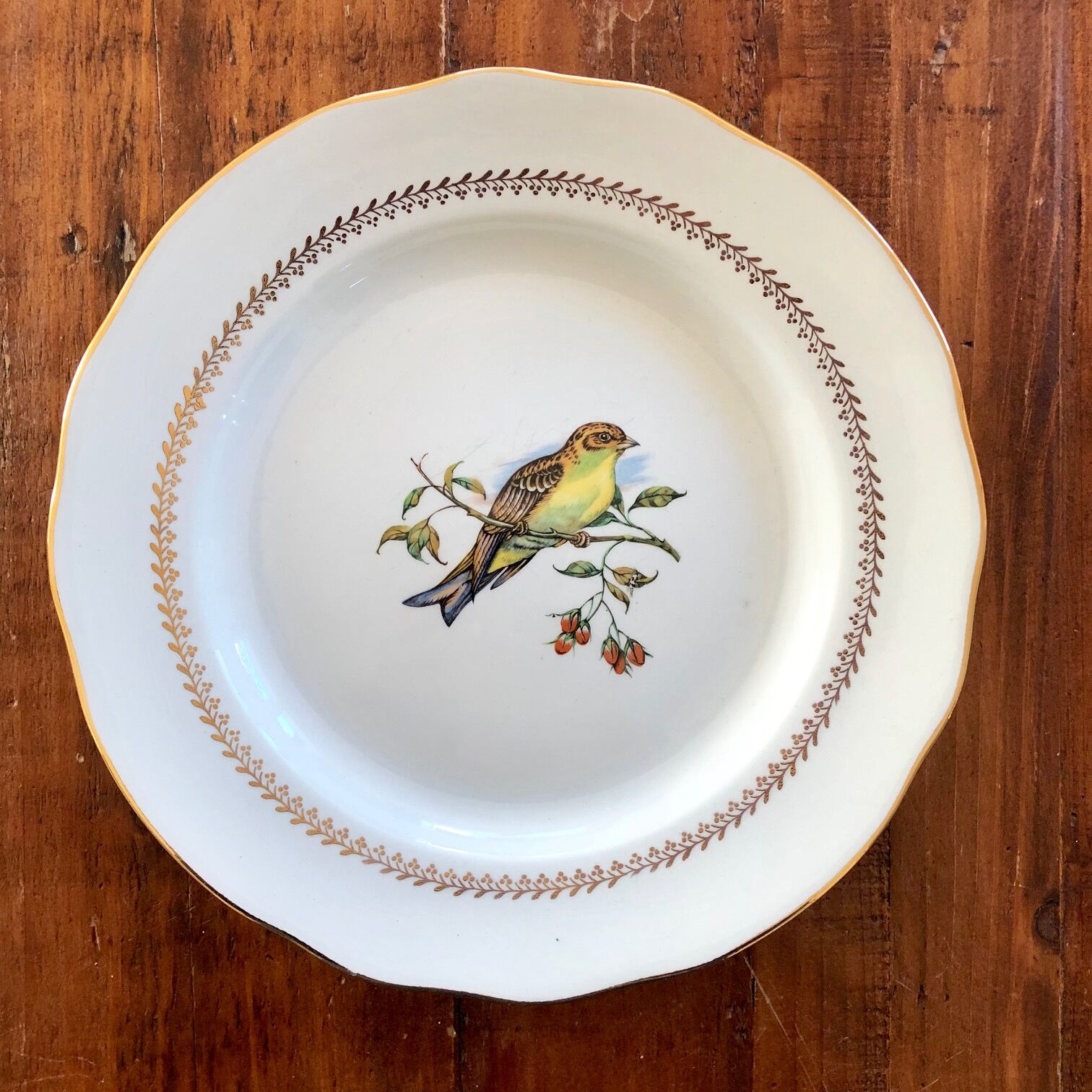 Plate Betting Sparrows