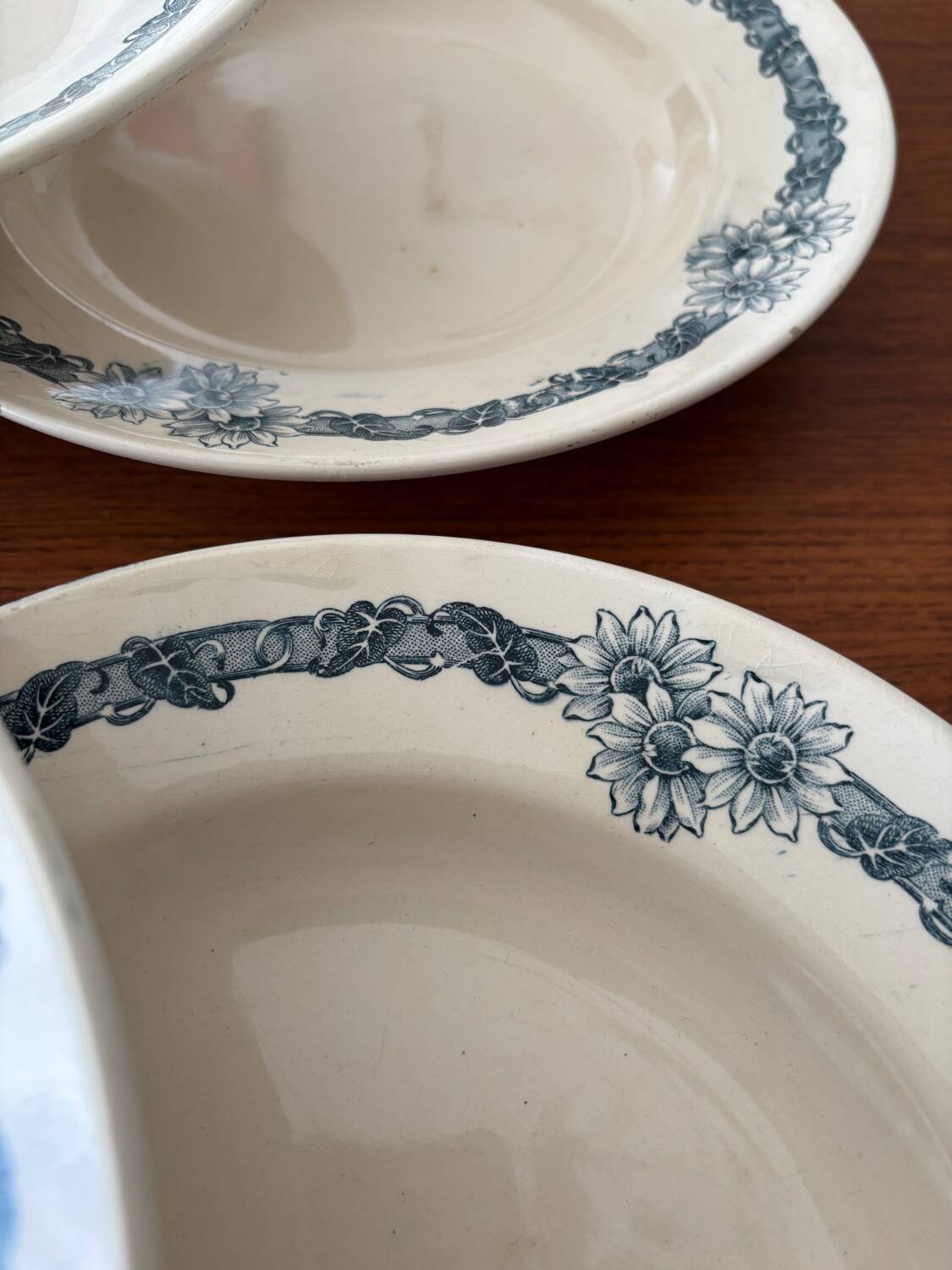 Set of 6 semi-deep plates in ironstone Longchamp model Denise.