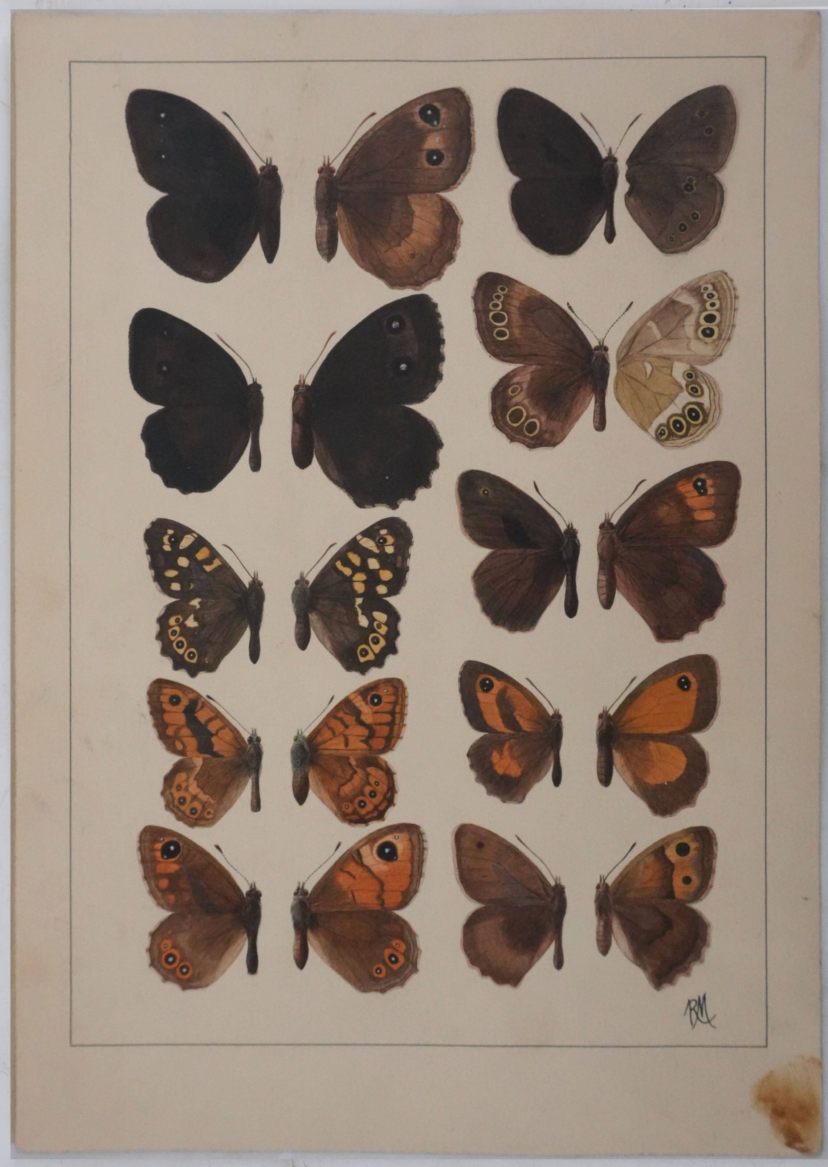 Small brown and orange butterflies, original signed watercolour, Roger METAYE.