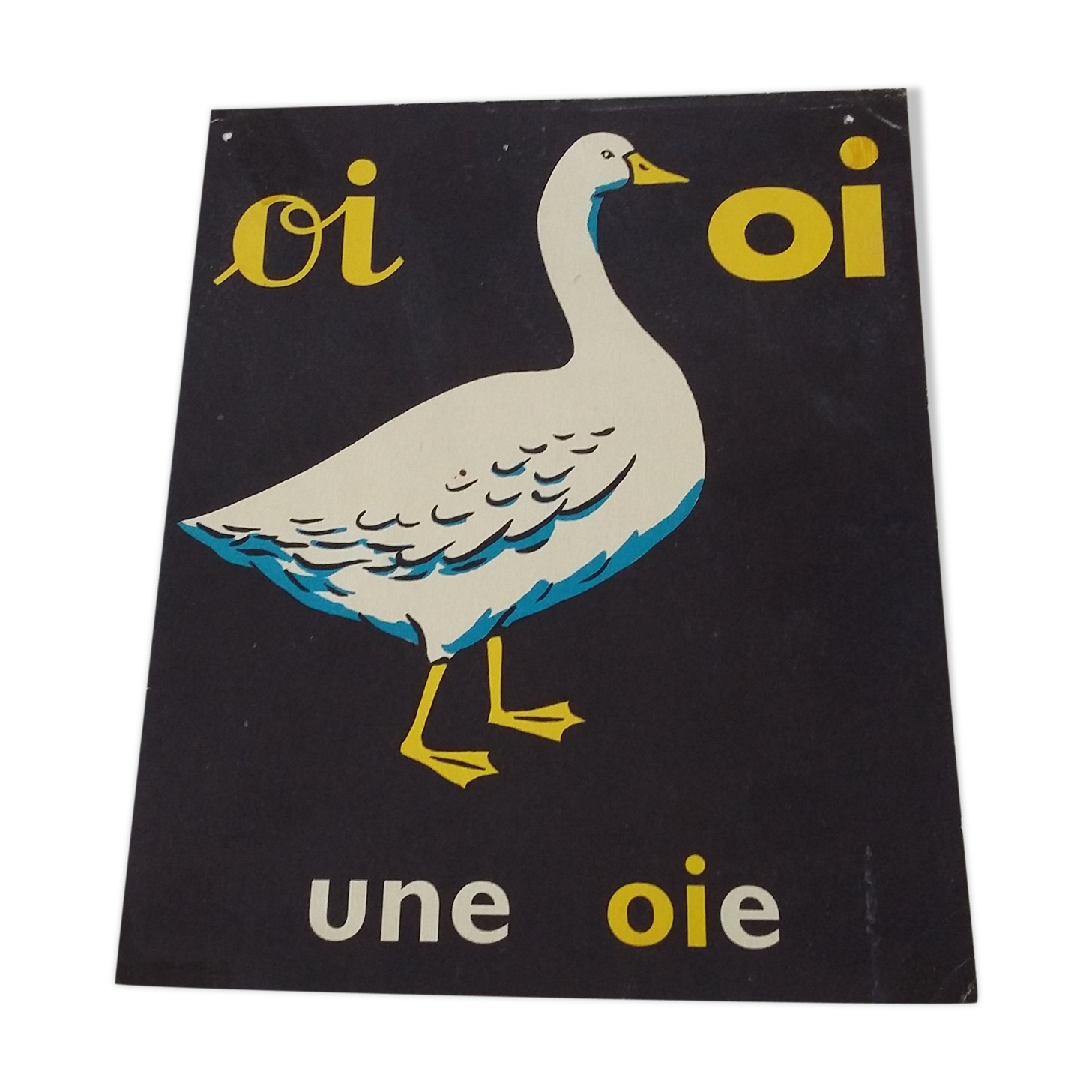 Reading image : the goose