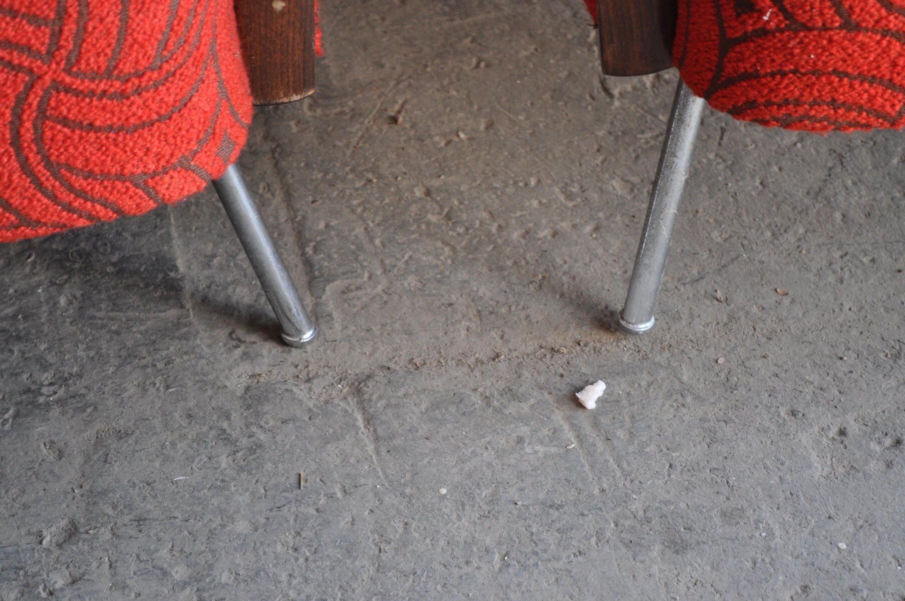 Bauhaus Style Steel & Wood Club Chairs, 1940s, Set of 2