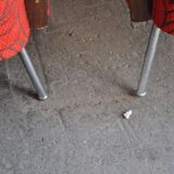 Bauhaus Style Steel & Wood Club Chairs, 1940s, Set of 2