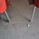 Bauhaus Style Steel & Wood Club Chairs, 1940s, Set of 2