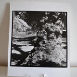 Anonymous silver photo tree circa 1970