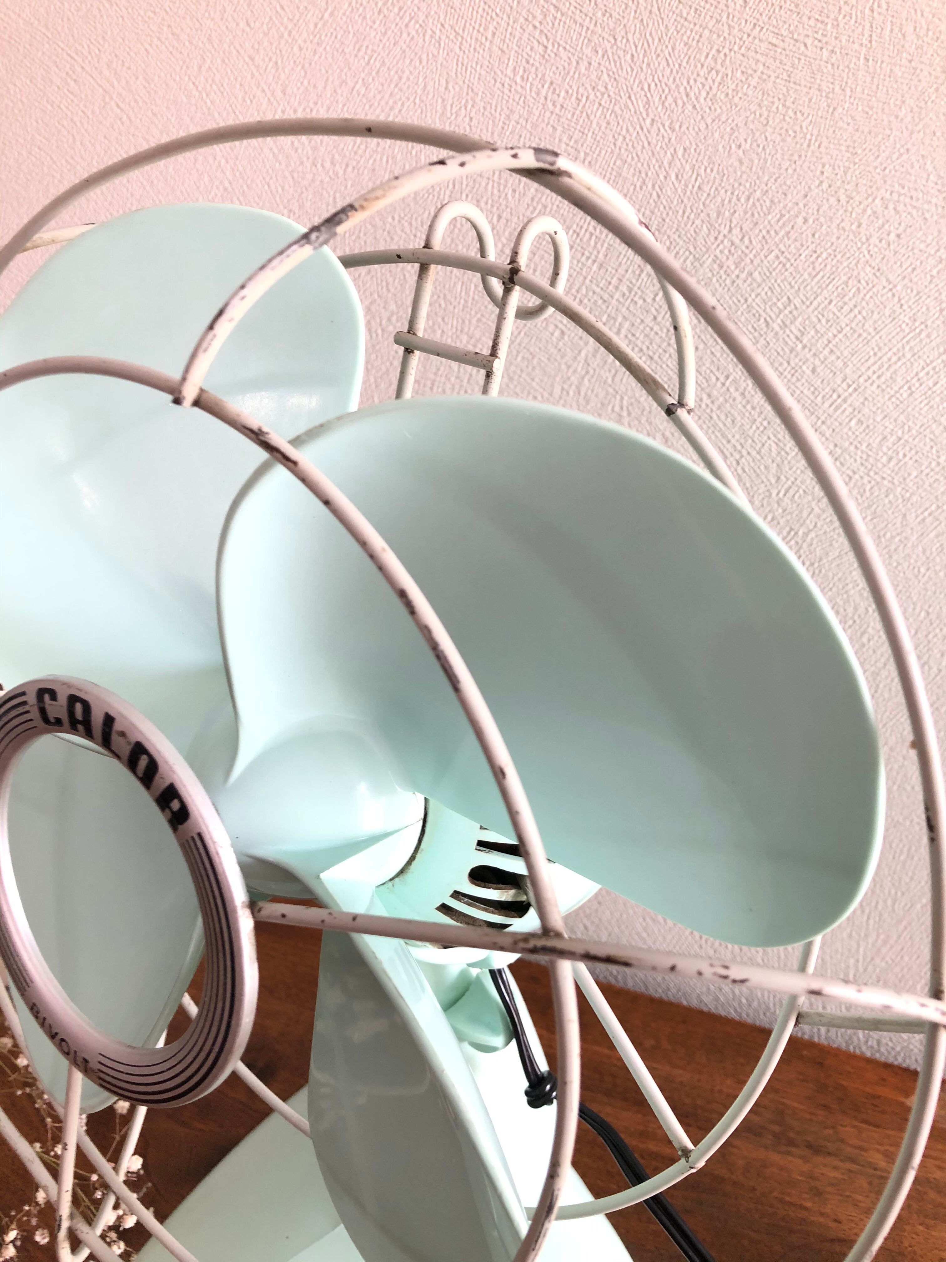 Calor Minth Vintage Fan