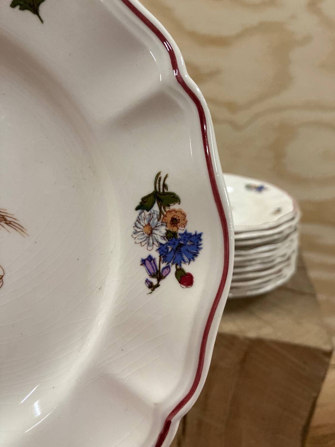 12 Sarreguemines Agreste dessert plates