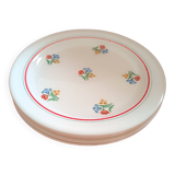 Set of 4 dinner plates. Gien.